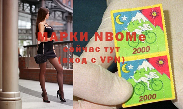 индика Балахна