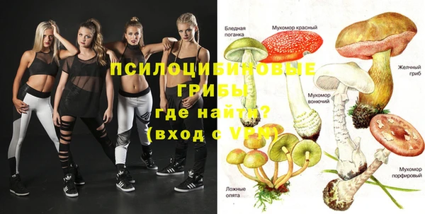 индика Балахна