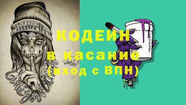 индика Балахна